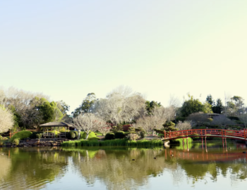 USQ Gardens Video & Billboard